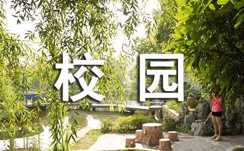 为什么篮球教练的经验对球员发展至关重要_0